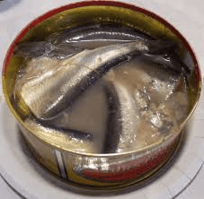 surströmming
