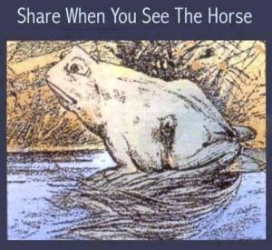 See the horse